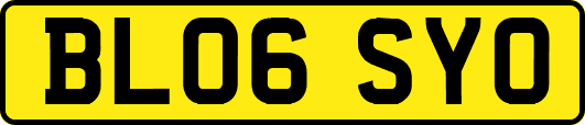 BL06SYO
