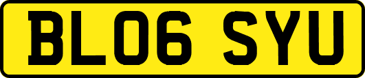 BL06SYU