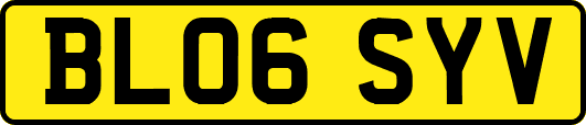 BL06SYV