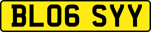 BL06SYY