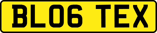 BL06TEX