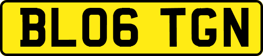 BL06TGN