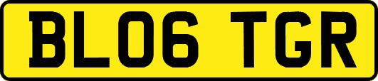 BL06TGR