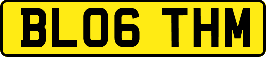 BL06THM