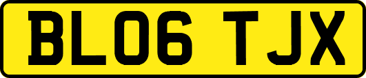 BL06TJX