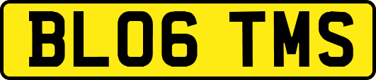 BL06TMS