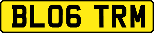 BL06TRM