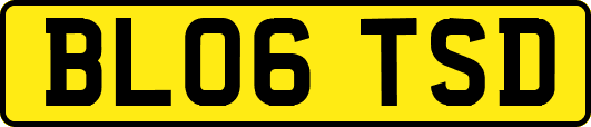 BL06TSD