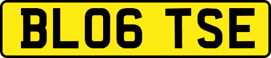 BL06TSE