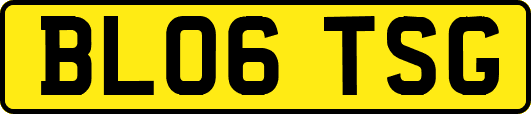 BL06TSG