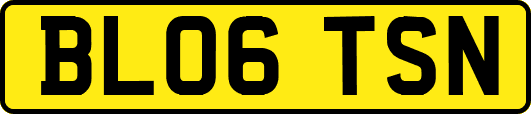 BL06TSN