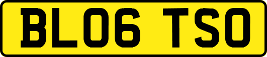 BL06TSO