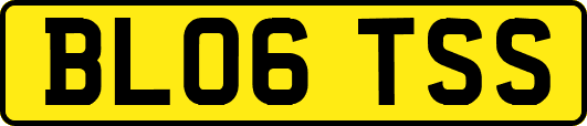 BL06TSS