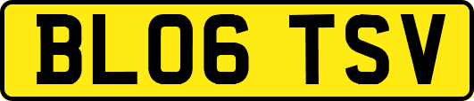BL06TSV
