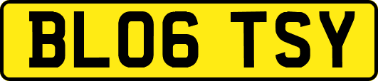 BL06TSY
