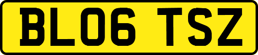 BL06TSZ