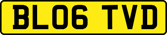 BL06TVD