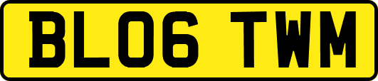 BL06TWM