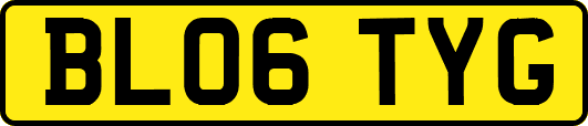 BL06TYG