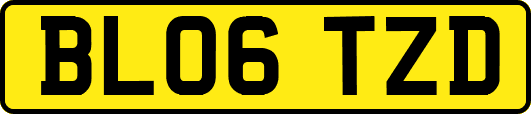 BL06TZD