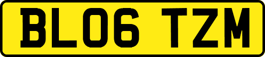BL06TZM