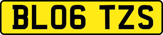 BL06TZS