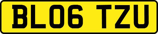 BL06TZU