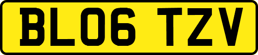 BL06TZV