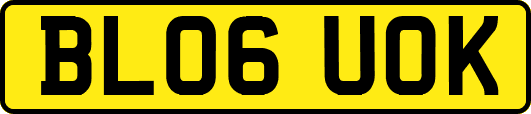 BL06UOK