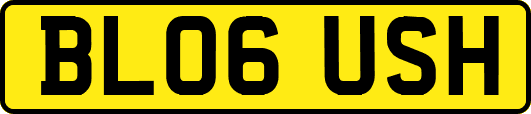 BL06USH