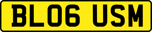 BL06USM