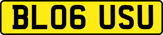BL06USU