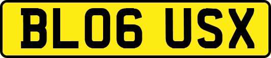 BL06USX