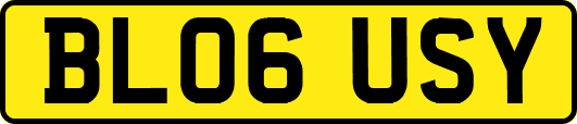 BL06USY