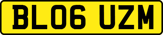 BL06UZM