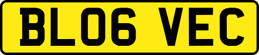 BL06VEC