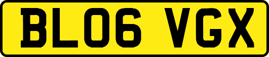 BL06VGX