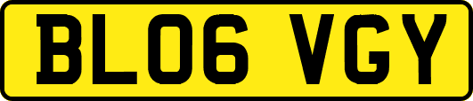 BL06VGY