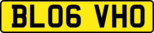 BL06VHO