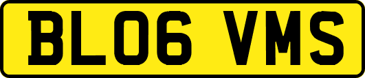 BL06VMS