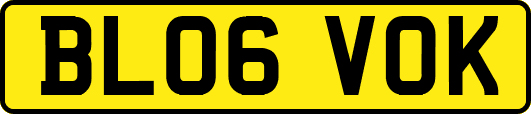 BL06VOK
