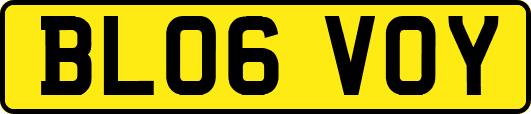 BL06VOY
