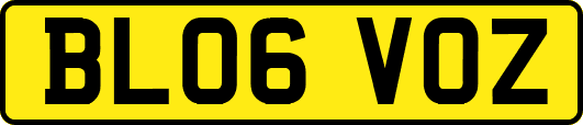 BL06VOZ
