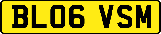 BL06VSM
