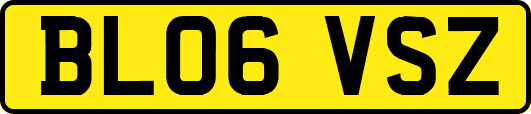 BL06VSZ