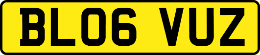 BL06VUZ