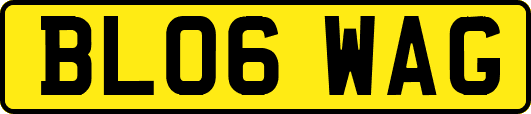 BL06WAG