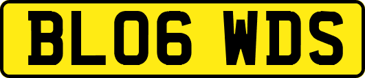 BL06WDS