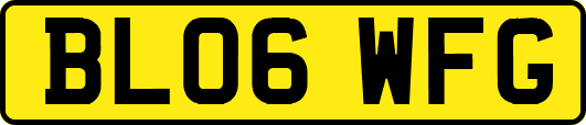BL06WFG