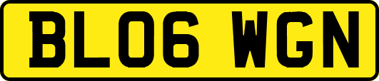 BL06WGN